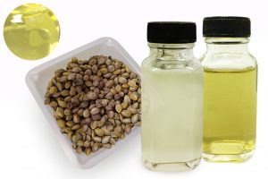 Nangai Oil For Hair Care Formulations