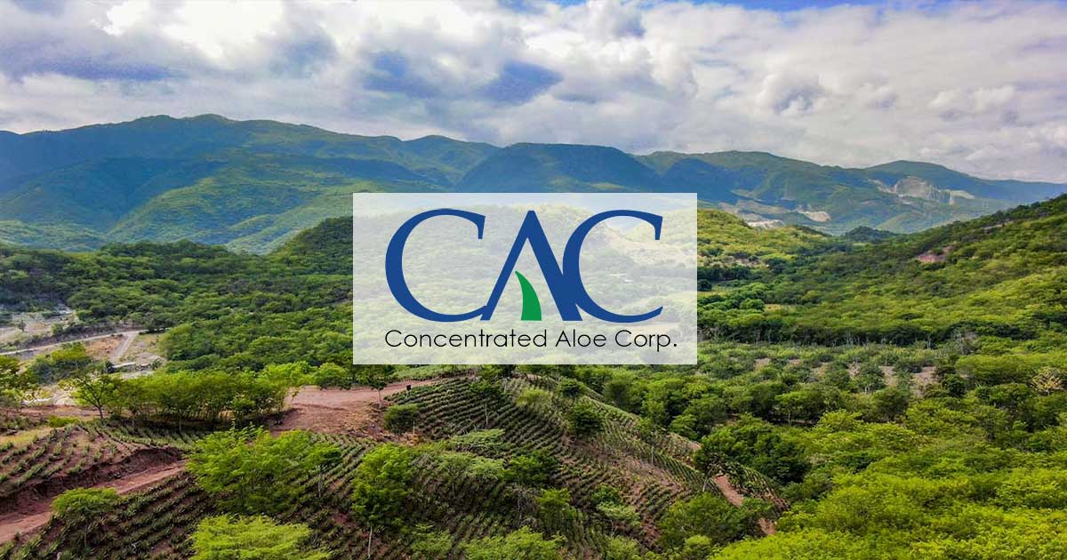 Aloe Vera Manufacturer And Botanical Wholesalers Concentrated Aloe Corporation - Concentrated Aloe Corporation